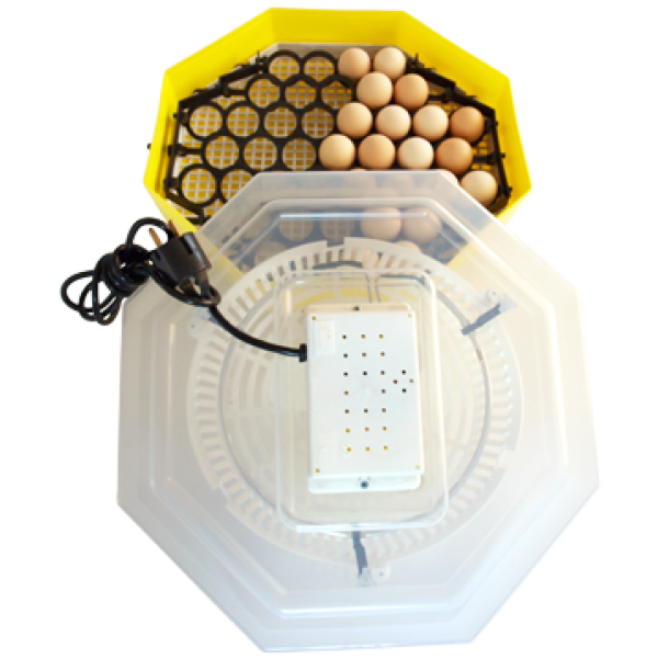 Incubator - Clocitoare Pui CLEO 5D cu Dispozitiv de Intoarcere